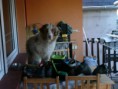/album/fenykepgaleria/p1020569-jpg/