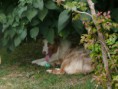 /album/fenykepgaleria/p1020837-jpg/